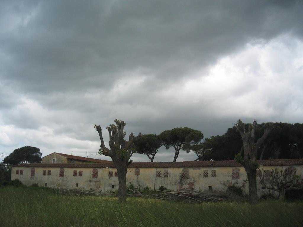 Villa Manuela Apartment Marinella di Sarzana Exterior foto